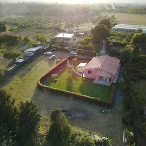 Il Melograno Di Nora Pula